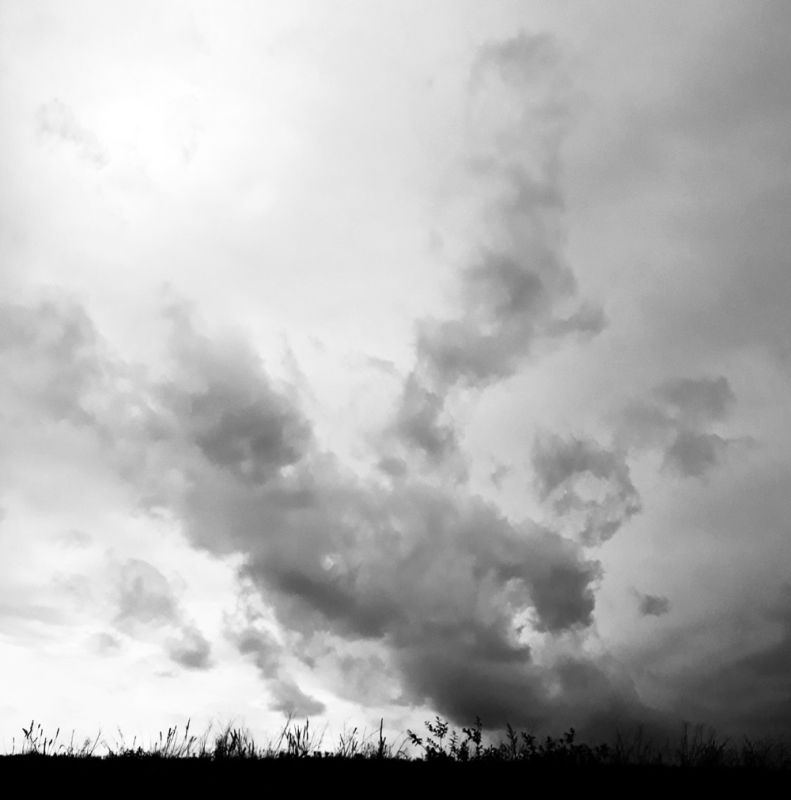 Cloud, Sky, Atmosphere, Plant, Natural Landscape, Black-and-white, Grey , Cumulus , Landscape