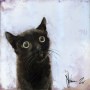 Cat - Feline - Carnivore - Small to medium sized cats - Mustache - Muzzle - Domestic shorthair cat - art - Fur - Black cat - Signature - Picture - white square black cat 
