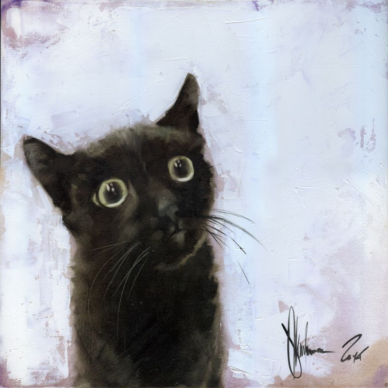 Cat - Feline - Carnivore - Small to medium sized cats - Mustache - Muzzle - Domestic shorthair cat - art - Fur - Black cat - Signature - Picture - white square black cat